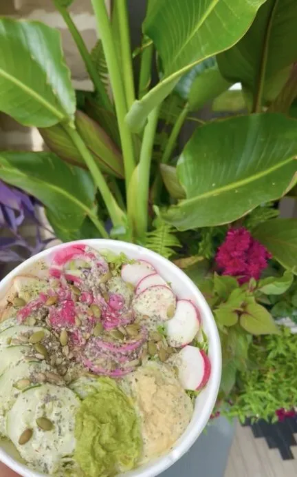 Veggie bowl with radish and avocado in front of plants
